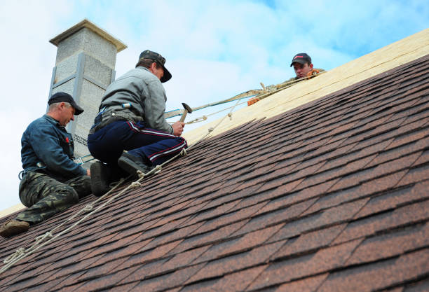 Best Local Roofing Companies  in Athens, WV