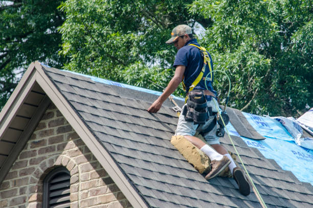 Best New Roof Installation  in Athens, WV